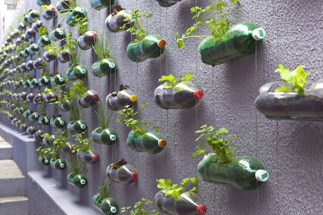 Urban Garden aus Plastikflaschen